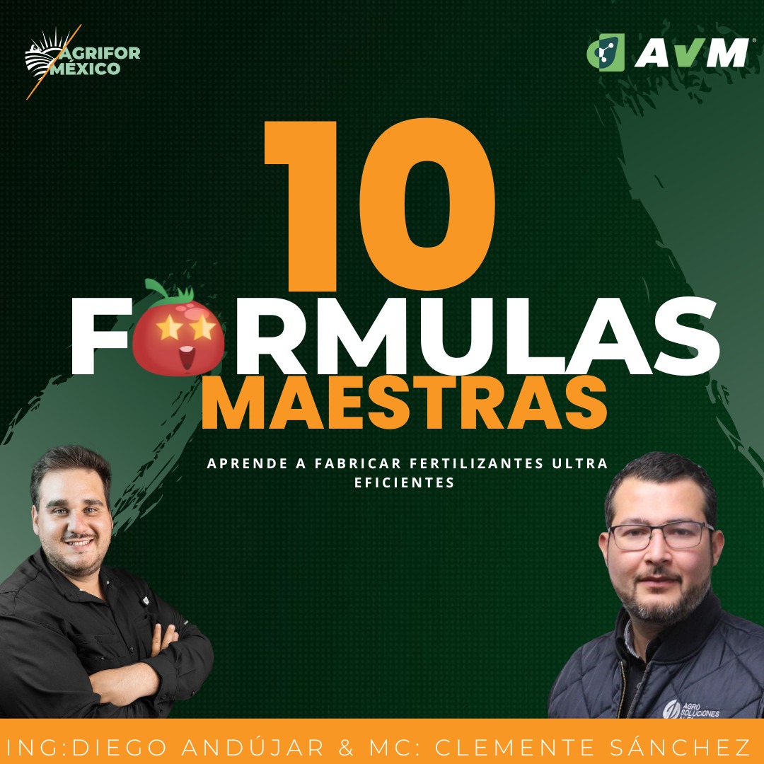 10 Fórmulas Maestras