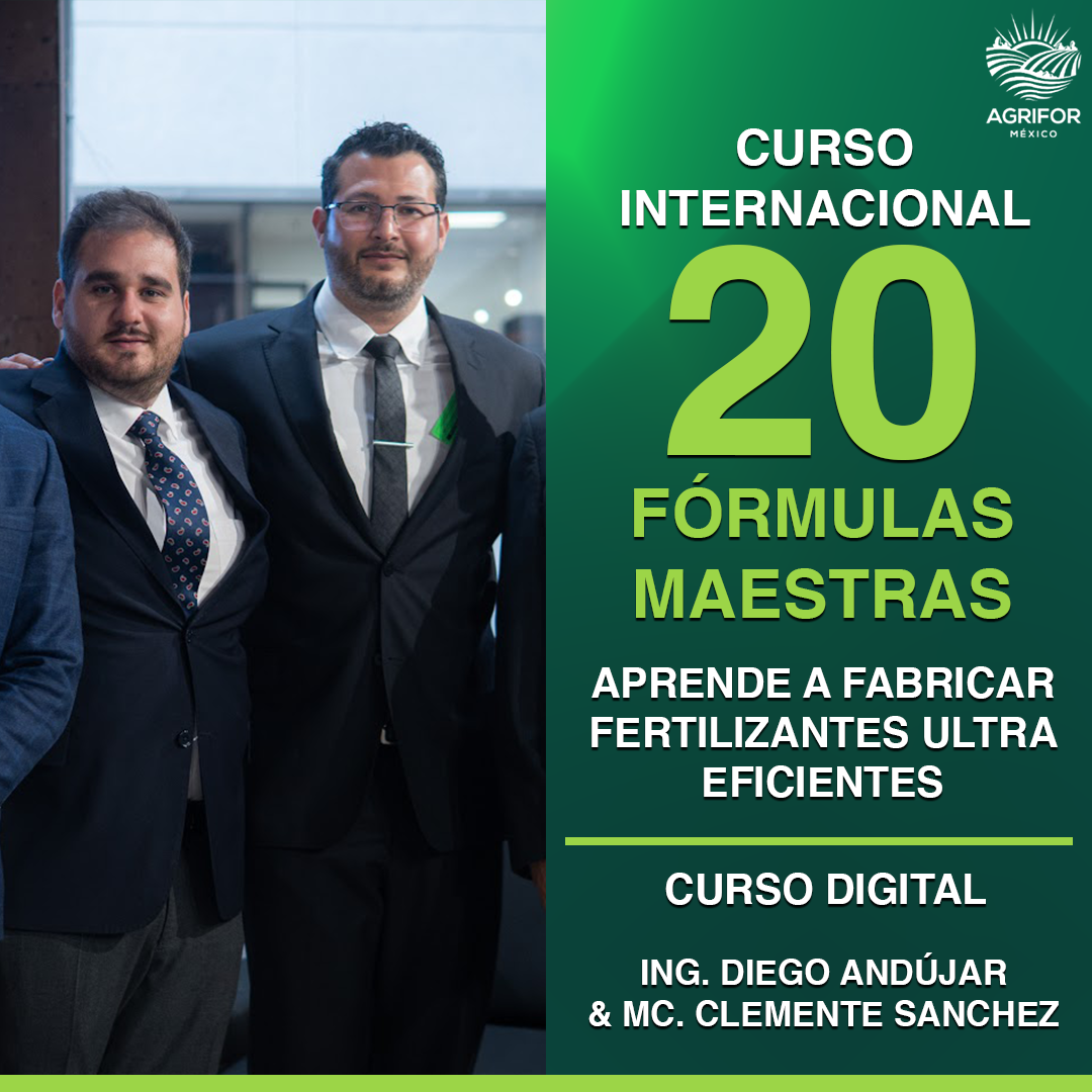 20 Fórmulas Maestras · Curso digital · Internacional