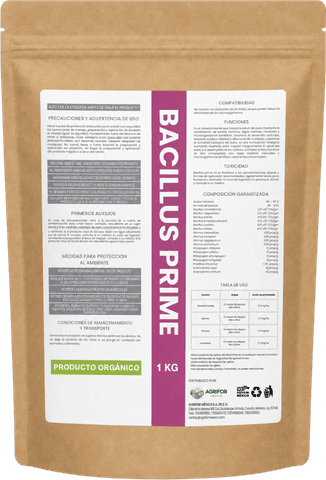 Bacillus Prime
