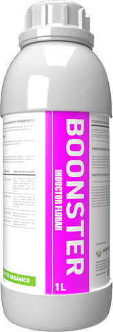 Boonster