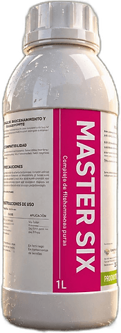 Master Six