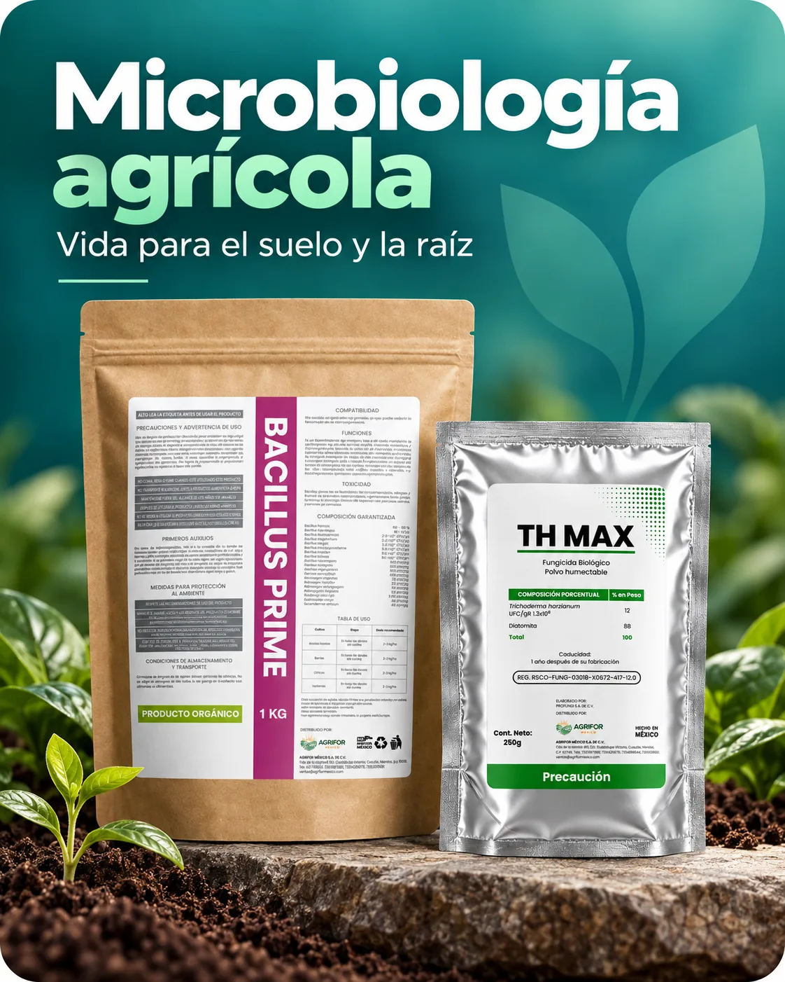 Microbiología: microorganismos benéficos