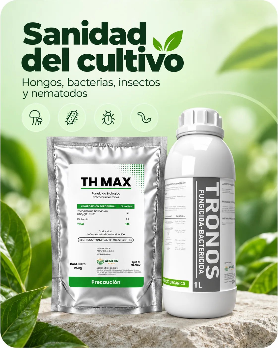Sanidad del cultivo: bactericidas, fungicidas e insecticidas