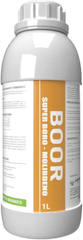 Envase de Boor